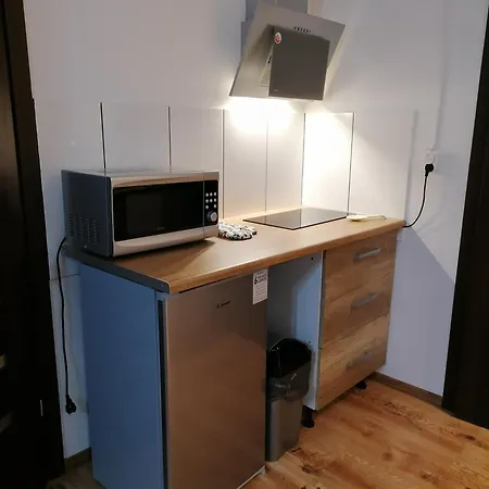 Apartment Miejscowka U Lufow Zakopane