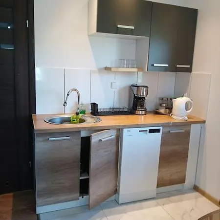 Apartment Miejscowka U Lufow Zakopane